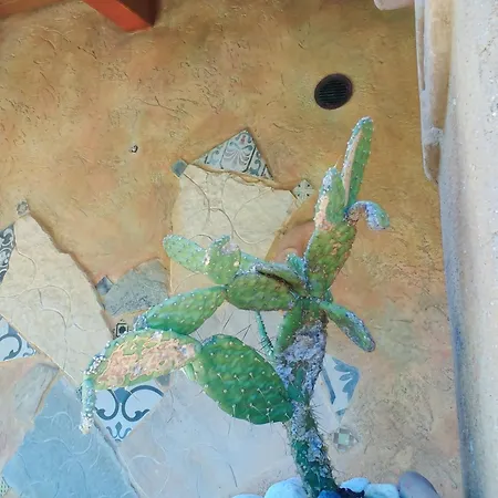 Casa Gaudi - House & 3*