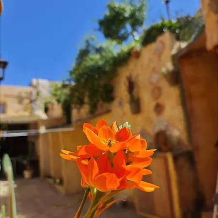 Casa Gaudi - House & Teulada